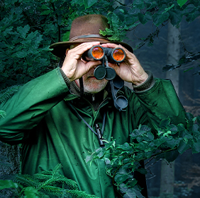 Un homme observe des oiseaux avec des jumelles dans une forêt dense et verdoyante.