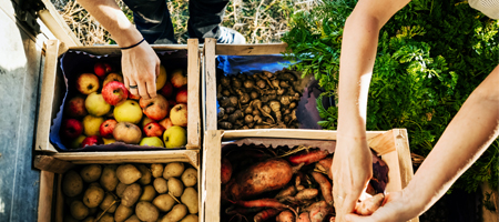 Deux Afro-Américaines septuagénaires sourient en faisant du yoga dans un parc entouré d'arbres.